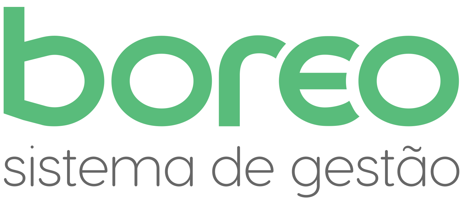 Boreo Sistemas de Informática Ltda.